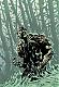 o_swampthing's Avatar