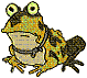 o_hypnotoad's Avatar