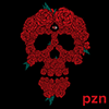 pzn's Avatar